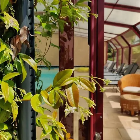 Maison Avec Piscine, Jacuzzi Et Grand Jardin A 1h De Paris 别墅 *